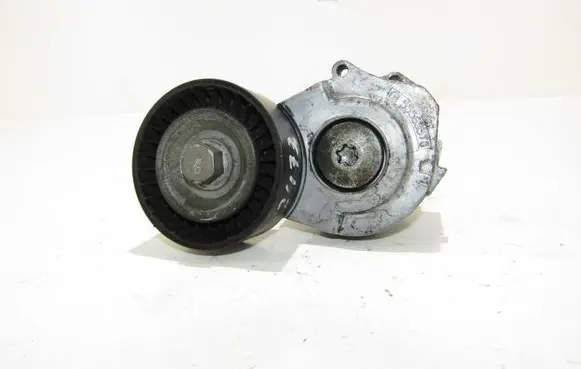 Opel Meriva B Alternator belt tensioner 55565570
