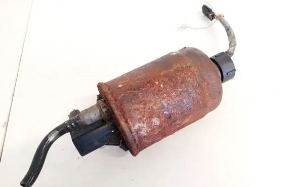 Renault Laguna III Fuel filter 