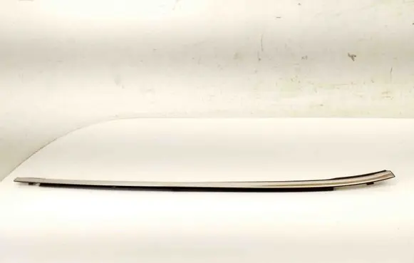 Nissan Pulsar Rear door glass trim molding
