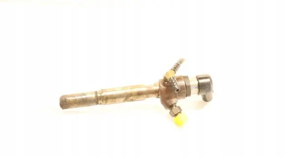Renault Megane III Fuel injector