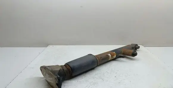 Rear shock absorber/damper