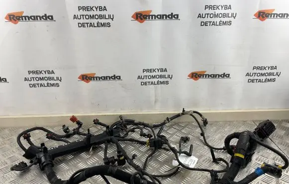 Engine installation wiring loom