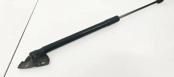 Renault Megane III Tailgate/trunk strut/damper 844300009R