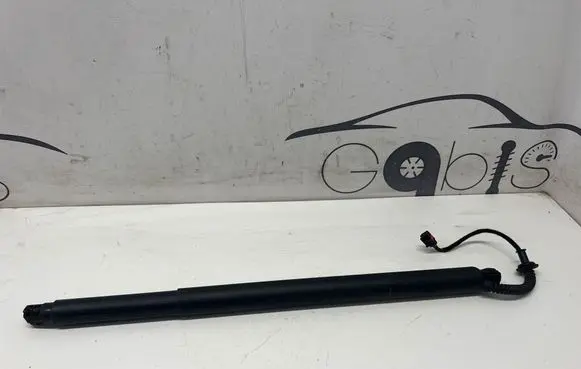 KIA Sorento IV Tailgate/trunk strut/damper 81831P2100