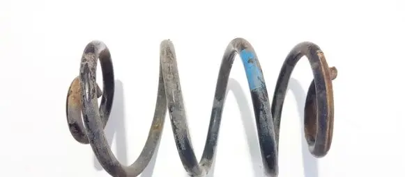 Rear coil spring