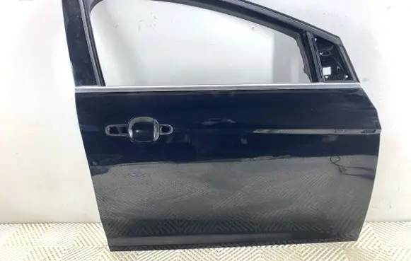 Ford Focus Front door 