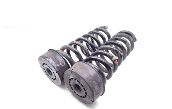 Rear coil spring