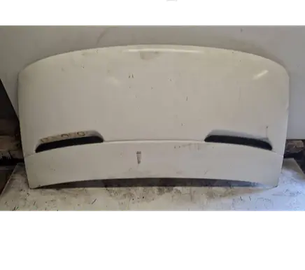 Engine bonnet/hood