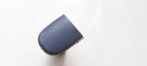 Volkswagen PASSAT B5 Loading door cover/cap 3b4839167