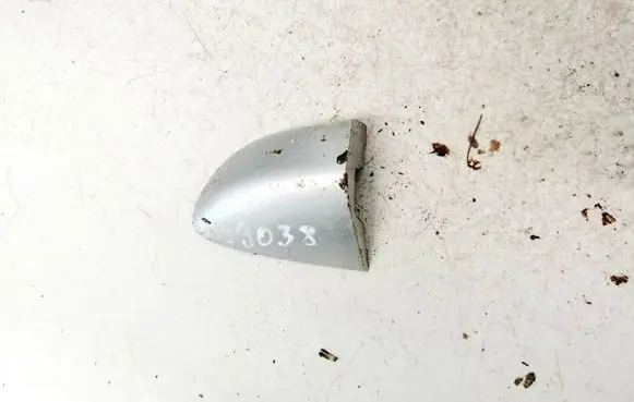 Volkswagen PASSAT B6 Loading door cover/cap 3c0837879