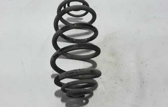 Renault Kangoo II Rear coil spring 550207723R