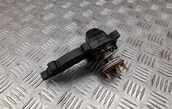 Thermostat/thermostat housing