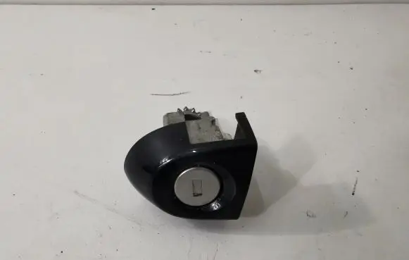 BMW 3 F30 F35 F31 Coupe door lock (next to the handle) 7310731