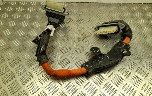 Ford Mustang Mach-E Other wiring loom LJ9814B245AD
