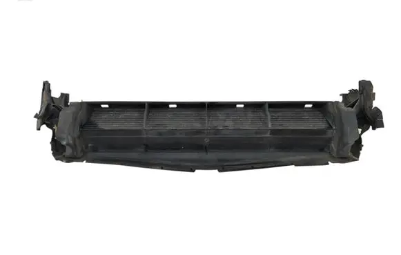 Mercedes-Benz CL C216 Engine oil radiator A2095000100