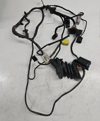 Front door wiring loom