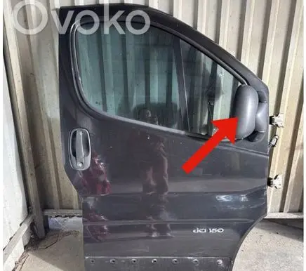 Renault Trafic II (X83) Front door electric wing mirror 010022