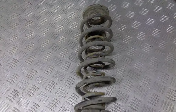 Skoda Octavia Mk2 (1Z) Rear coil spring