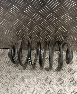 Rear coil spring