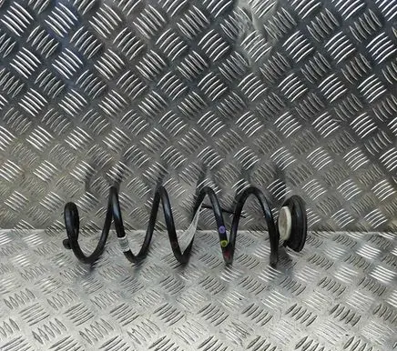 Opel Astra L Rear coil spring 9849854580