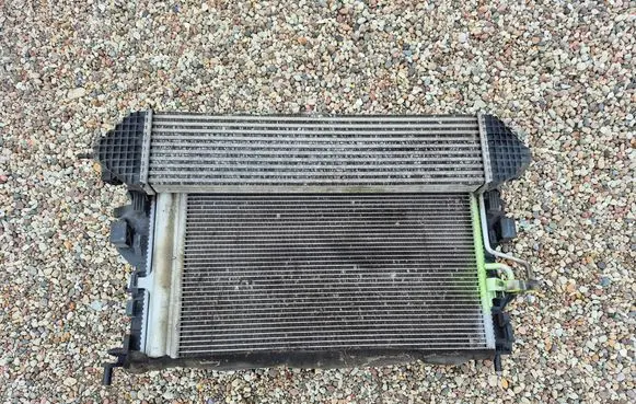 Ford C-MAX II Fan set 8V61-8C607-RD 0130308448