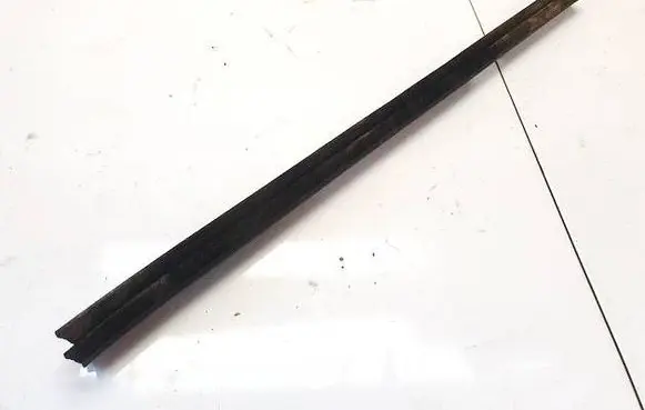 Rear door glass trim molding