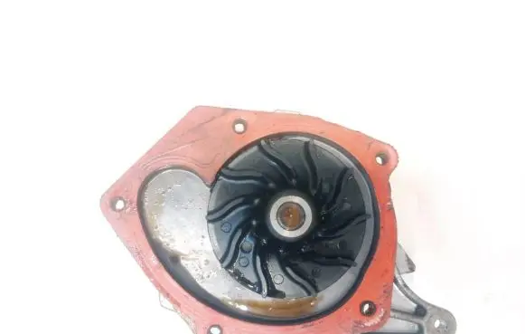 Renault Megane II Water pump 9041020001 210104393r