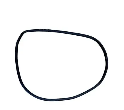 Dodge Durango Front door rubber seal