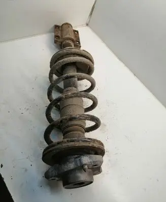 Fiat Ducato Front shock absorber with coil spring