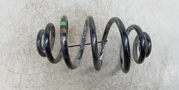 Volkswagen PASSAT B5.5 Rear coil spring