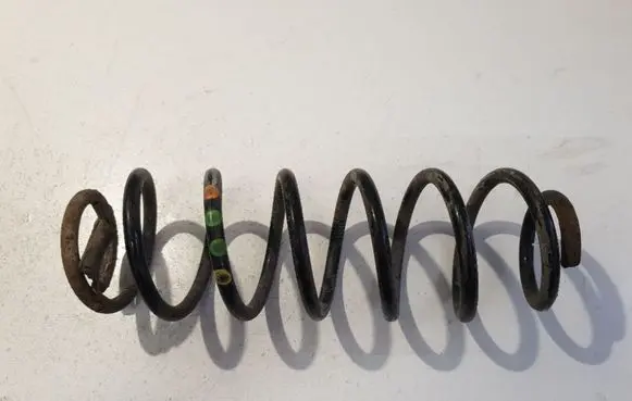 Rear coil spring