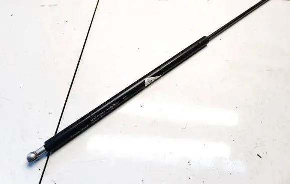 Tailgate/trunk strut/damper