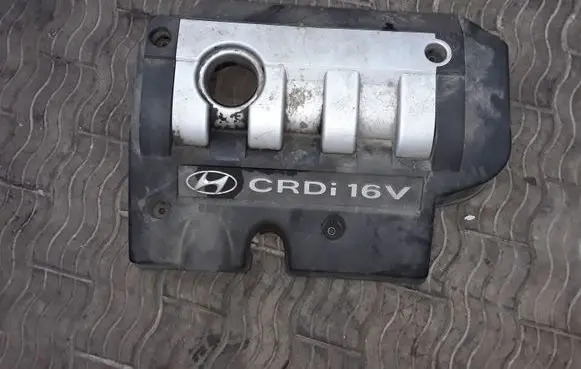Hyundai Trajet Engine cover (trim) 2924027101