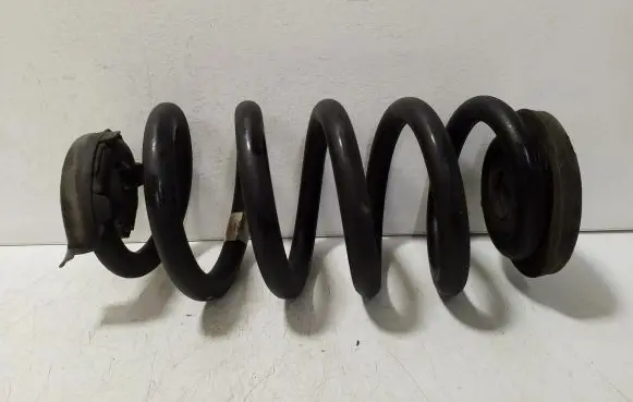 Volkswagen ID.4 Rear coil spring 1EA512149 90296501