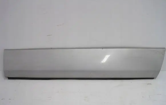 Suzuki Grand Vitara II Front door trim (molding) 