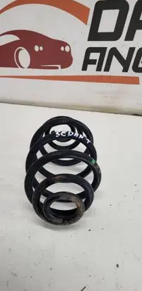 Rear coil spring