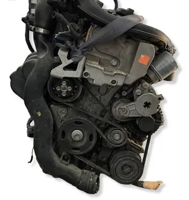 Volkswagen PASSAT B6 Engine CAV EA111 VDH