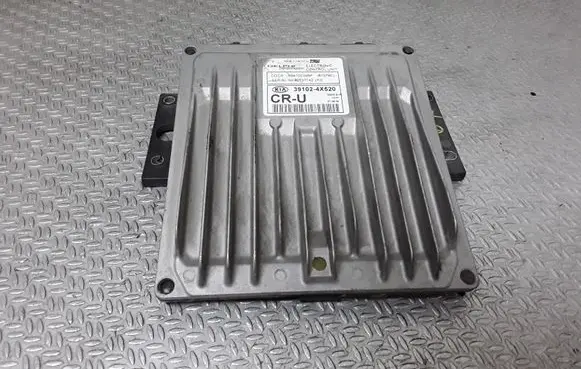 KIA Carnival Engine control unit/module 391024X520