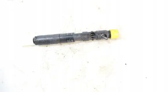 Renault Megane II Fuel injector