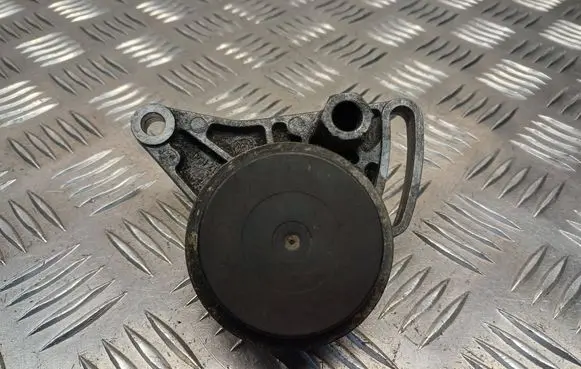 Volkswagen PASSAT B5.5 Generator/alternator belt tensioner 058260511
