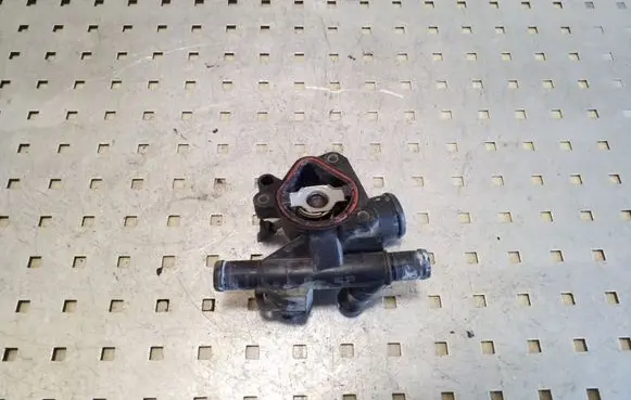Thermostat/thermostat housing