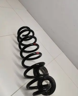 Toyota RAV 4 (XA50) Rear coil spring