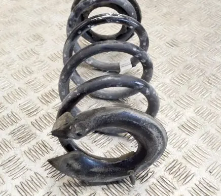 Tesla Model 3 Rear coil spring 104447291E