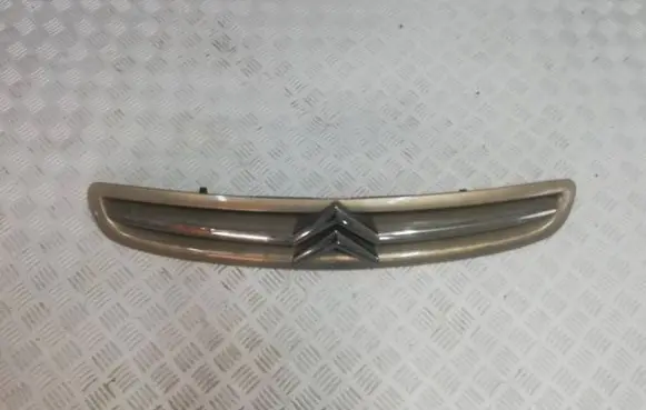 Citroen Xsara Picasso Front grill 9650059377
