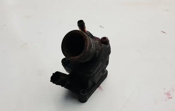 Thermostat/thermostat housing