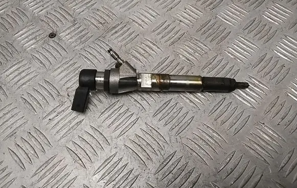 Nissan Qashqai Fuel injector H8201100113
