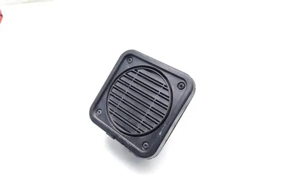 MG ZS Panel speaker