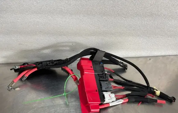 Other wiring loom