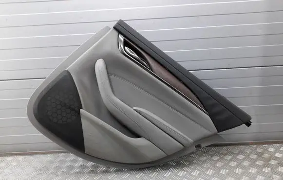 Cadillac CTS Rear door card panel trim 22814694