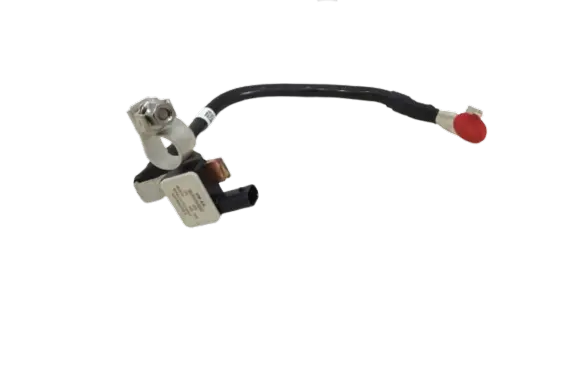 Volkswagen ID.5 Negative earth cable (battery) 1EA915181C SK382002